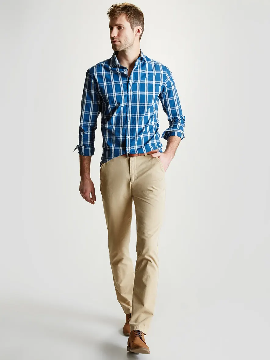 Chino regular
